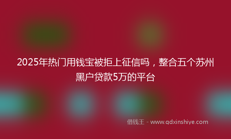 2025年热门用钱宝被拒上征信吗，整合五个苏州黑户贷款5万的平台
