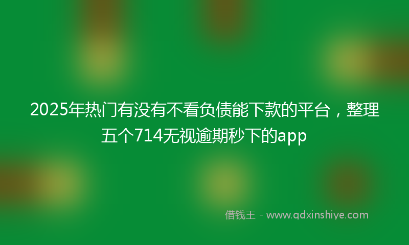 2025年热门有没有不看负债能下款的平台，整理五个714无视逾期秒下的app