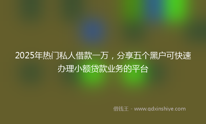 2025年热门私人借款一万，分享五个黑户可快速办理小额贷款业务的平台