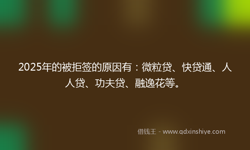 2025年的被拒签的原因有：微粒贷、快贷通、人人贷、功夫贷、融逸花等。