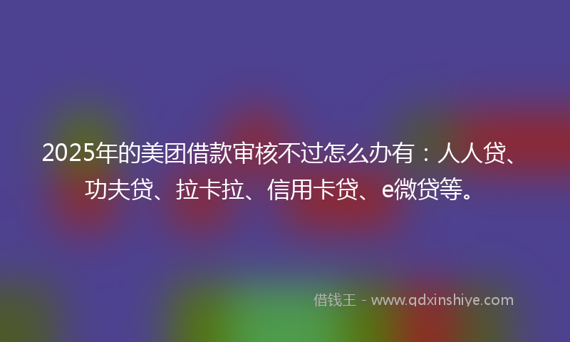 2025年的美团借款审核不过怎么办有：人人贷、功夫贷、拉卡拉、信用卡贷、e微贷等。