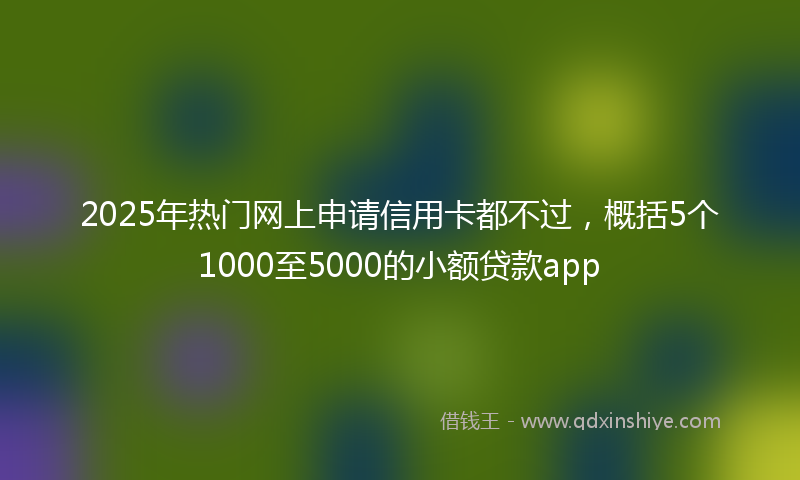 2025年热门网上申请信用卡都不过，概括5个1000至5000的小额贷款app