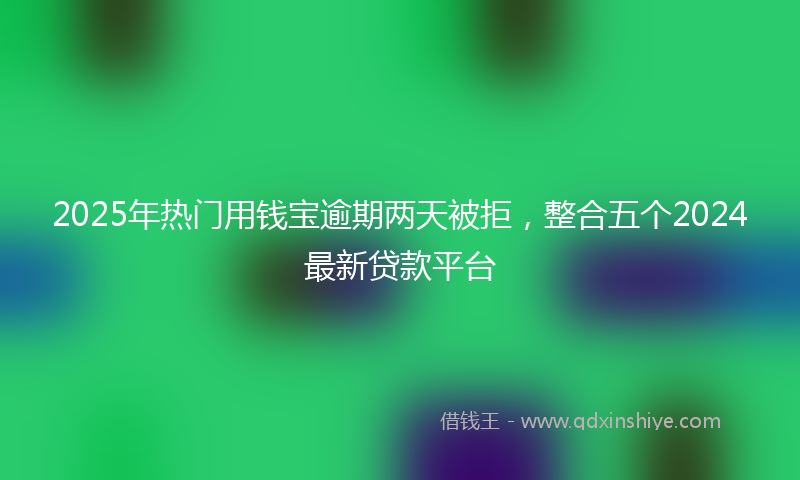 2025年热门用钱宝逾期两天被拒，整合五个2024最新贷款平台