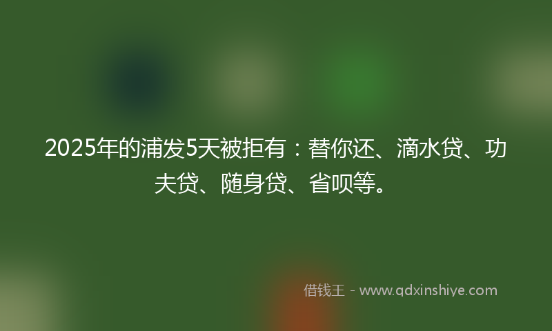 2025年的浦发5天被拒有：替你还、滴水贷、功夫贷、随身贷、省呗等。