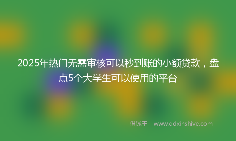 2025年热门无需审核可以秒到账的小额贷款，盘点5个大学生可以使用的平台