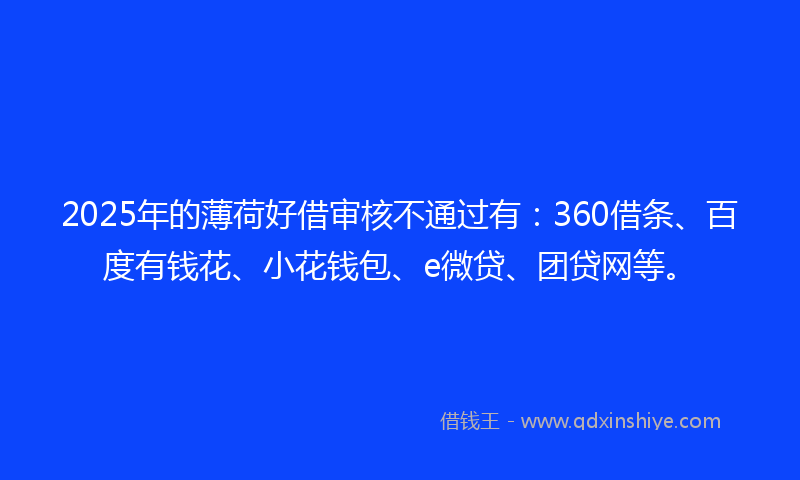2025年的薄荷好借审核不通过有：360借条、百度有钱花、小花钱包、e微贷、团贷网等。