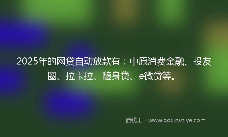 2025年的网贷自动放款有：中原消费金融、投友圈、拉卡拉、随身贷、e微贷等。