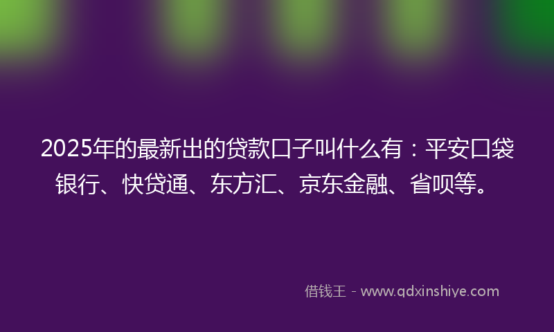 2025年的最新出的贷款口子叫什么有：平安口袋银行、快贷通、东方汇、京东金融、省呗等。