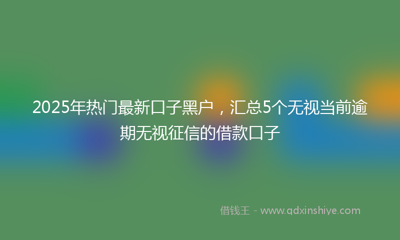 2025年热门最新口子黑户，汇总5个无视当前逾期无视征信的借款口子