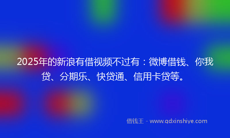 2025年的新浪有借视频不过有：微博借钱、你我贷、分期乐、快贷通、信用卡贷等。