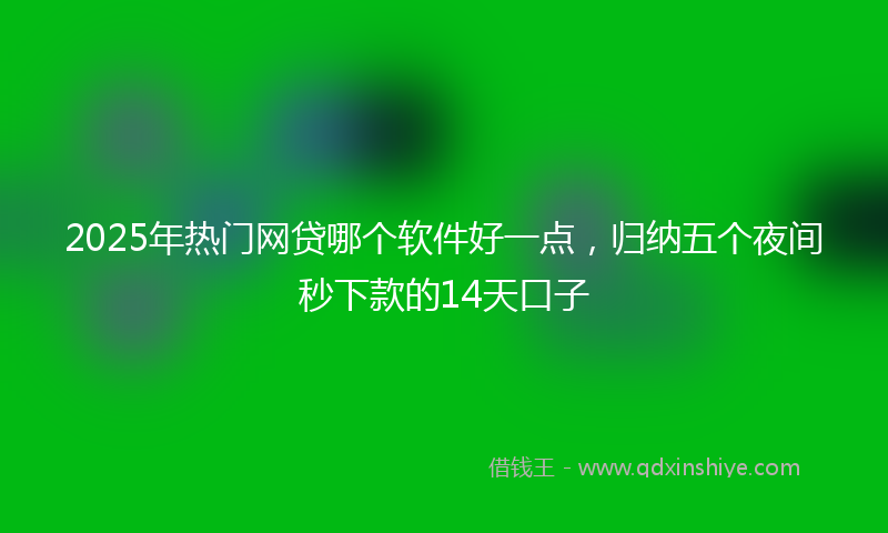 2025年热门网贷哪个软件好一点，归纳五个夜间秒下款的14天口子