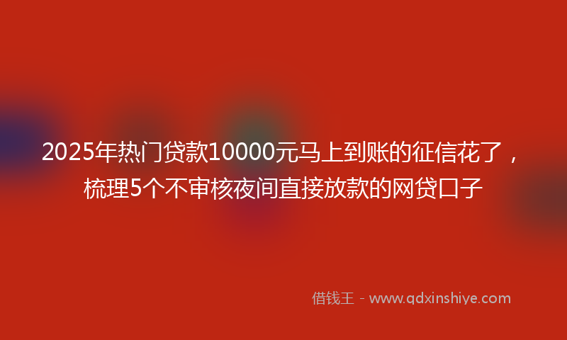 2025年热门贷款10000元马上到账的征信花了，梳理5个不审核夜间直接放款的网贷口子