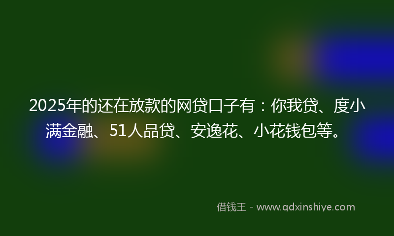2025年的还在放款的网贷口子有：你我贷、度小满金融、51人品贷、安逸花、小花钱包等。