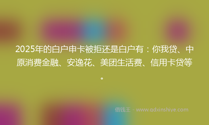 2025年的白户申卡被拒还是白户有：你我贷、中原消费金融、安逸花、美团生活费、信用卡贷等。