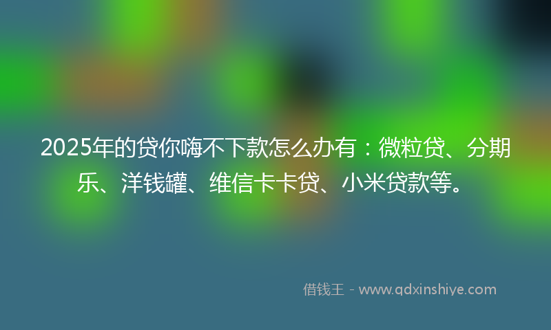 2025年的贷你嗨不下款怎么办有：微粒贷、分期乐、洋钱罐、维信卡卡贷、小米贷款等。