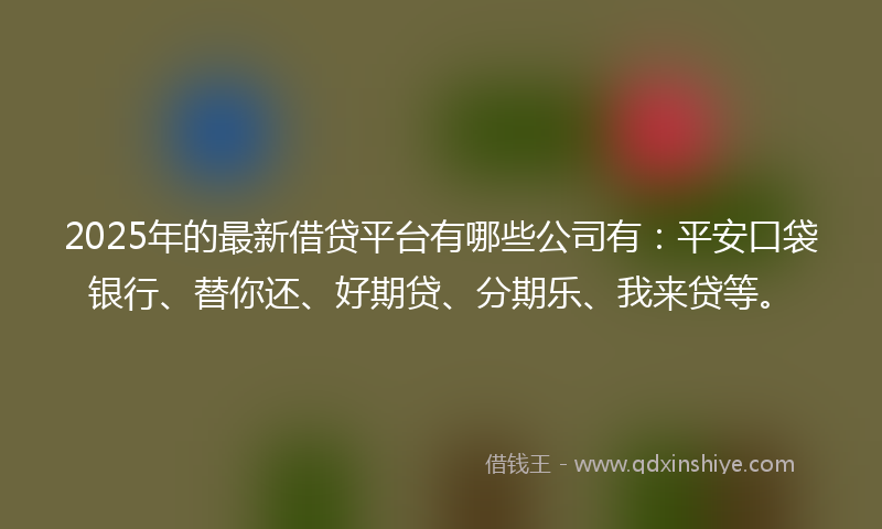 2025年的最新借贷平台有哪些公司有：平安口袋银行、替你还、好期贷、分期乐、我来贷等。