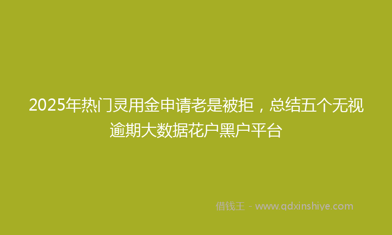 2025年热门灵用金申请老是被拒，总结五个无视逾期大数据花户黑户平台