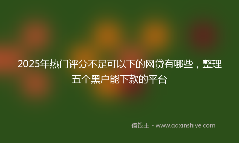 2025年热门评分不足可以下的网贷有哪些，整理五个黑户能下款的平台