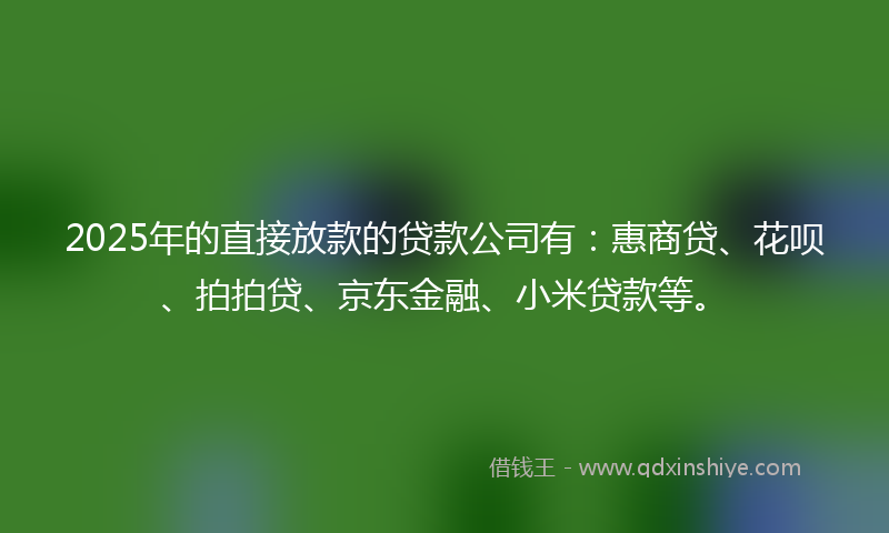 2025年的直接放款的贷款公司有：惠商贷、花呗、拍拍贷、京东金融、小米贷款等。