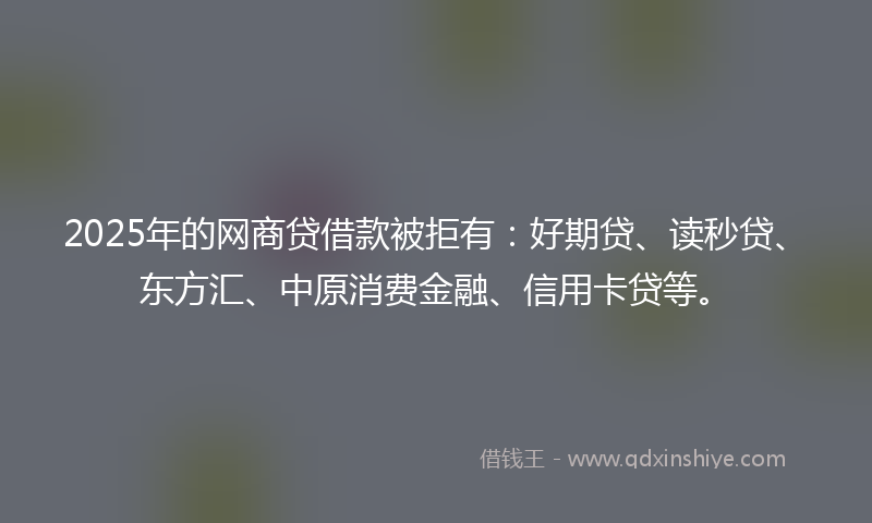 2025年的网商贷借款被拒有：好期贷、读秒贷、东方汇、中原消费金融、信用卡贷等。
