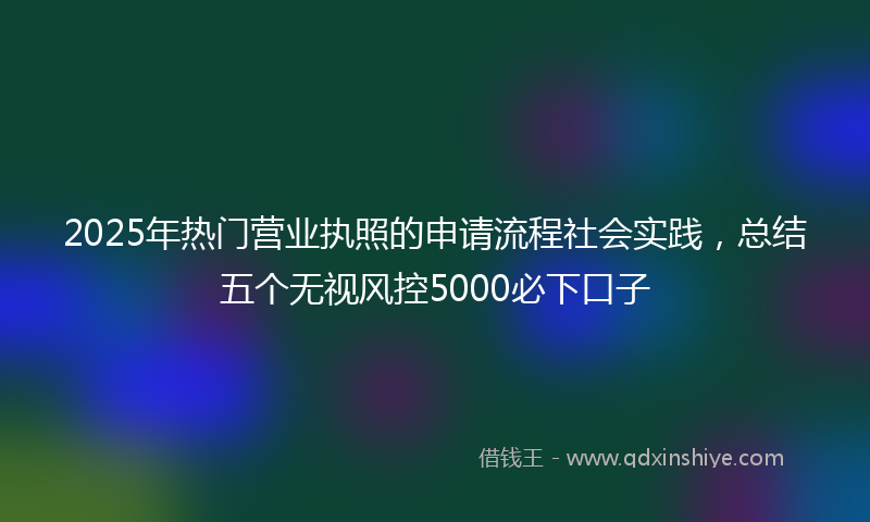 2025年热门营业执照的申请流程社会实践，总结五个无视风控5000必下口子