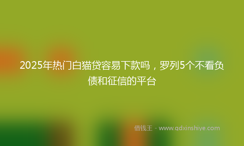 2025年热门白猫贷容易下款吗，罗列5个不看负债和征信的平台