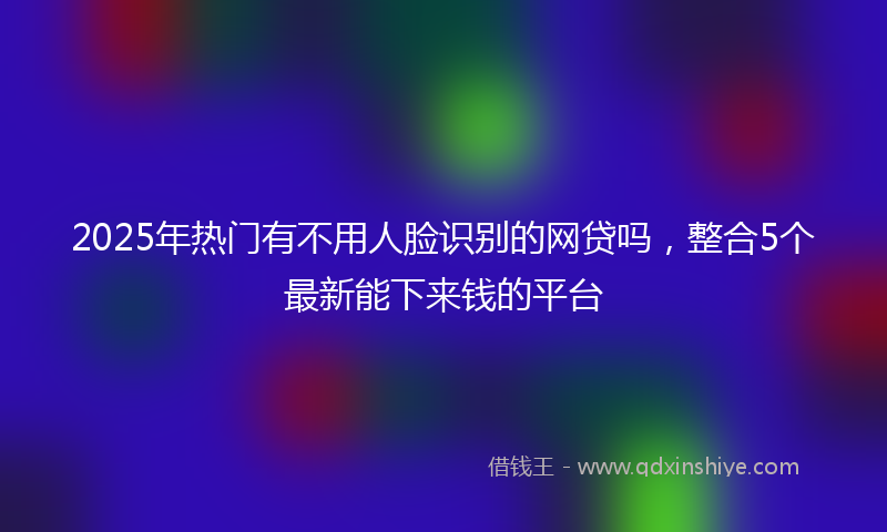 2025年热门有不用人脸识别的网贷吗，整合5个最新能下来钱的平台