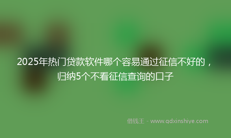 2025年热门贷款软件哪个容易通过征信不好的，归纳5个不看征信查询的口子
