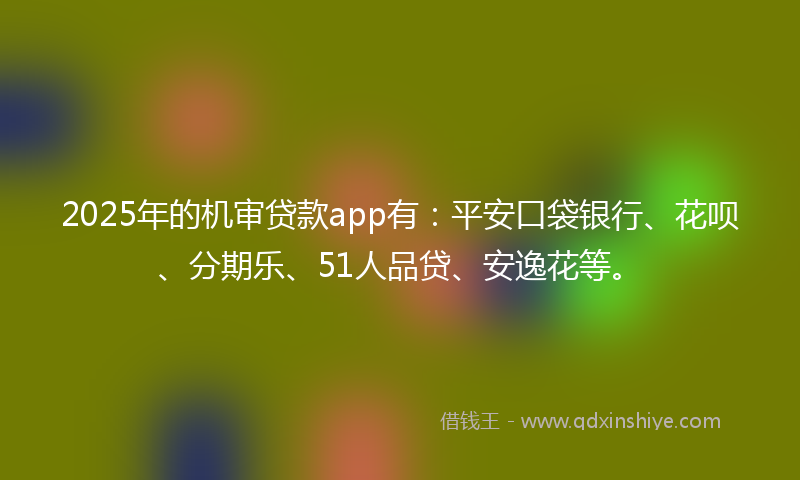 2025年的机审贷款app有：平安口袋银行、花呗、分期乐、51人品贷、安逸花等。
