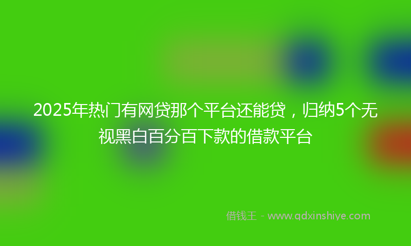 2025年热门有网贷那个平台还能贷，归纳5个无视黑白百分百下款的借款平台