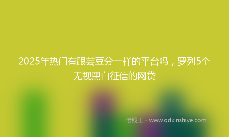 2025年热门有跟芸豆分一样的平台吗，罗列5个无视黑白征信的网贷