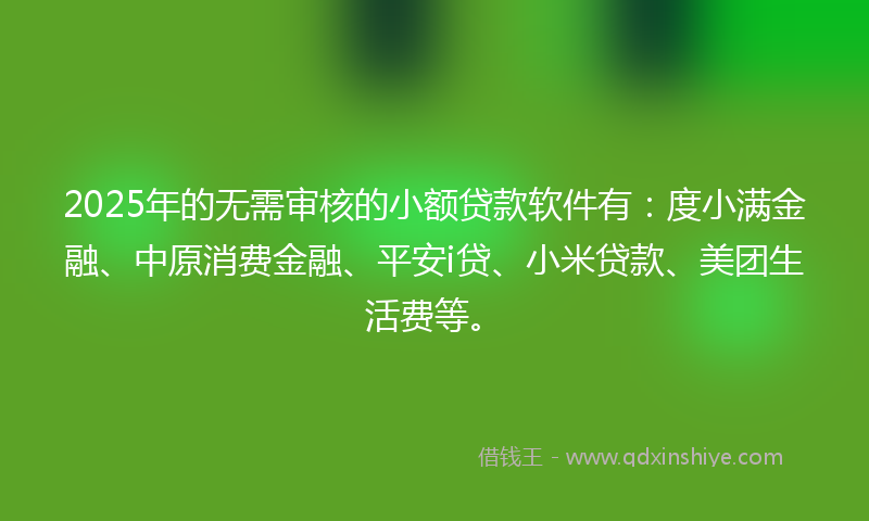 2025年的无需审核的小额贷款软件有：度小满金融、中原消费金融、平安i贷、小米贷款、美团生活费等。