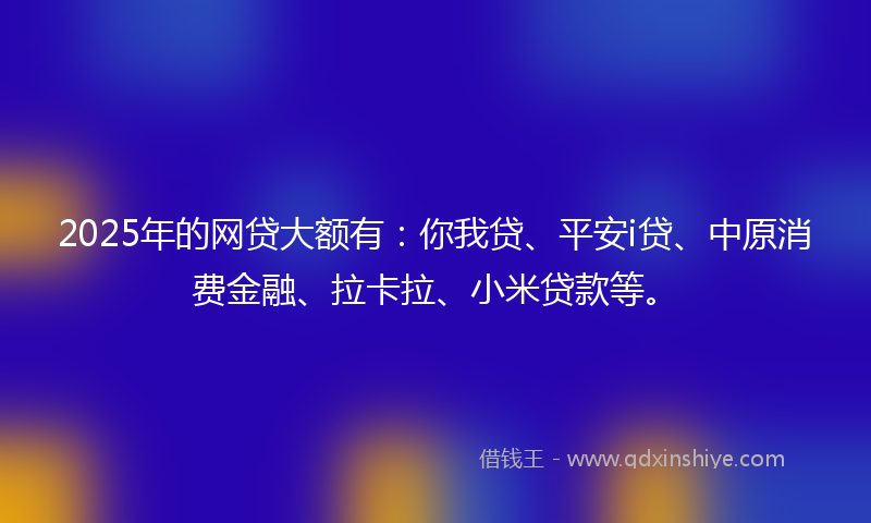 2025年的网贷大额有：你我贷、平安i贷、中原消费金融、拉卡拉、小米贷款等。