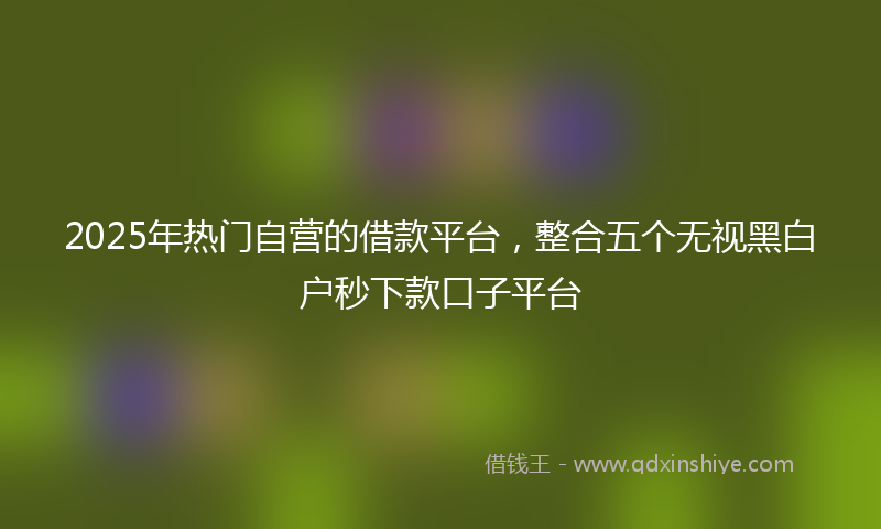2025年热门自营的借款平台，整合五个无视黑白户秒下款口子平台