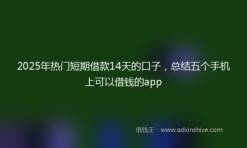2025年热门短期借款14天的口子，总结五个手机上可以借钱的app