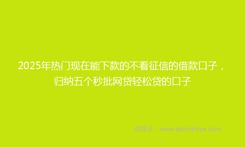 2025年热门现在能下款的不看征信的借款口子，归纳五个秒批网贷轻松贷的口子