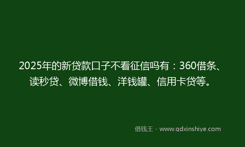 2025年的新贷款口子不看征信吗有：360借条、读秒贷、微博借钱、洋钱罐、信用卡贷等。