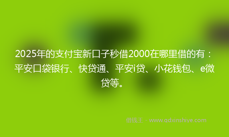 2025年的支付宝新口子秒借2000在哪里借的有：平安口袋银行、快贷通、平安i贷、小花钱包、e微贷等。