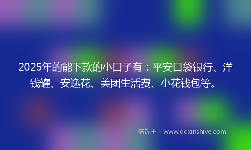 2025年的能下款的小口子有：平安口袋银行、洋钱罐、安逸花、美团生活费、小花钱包等。
