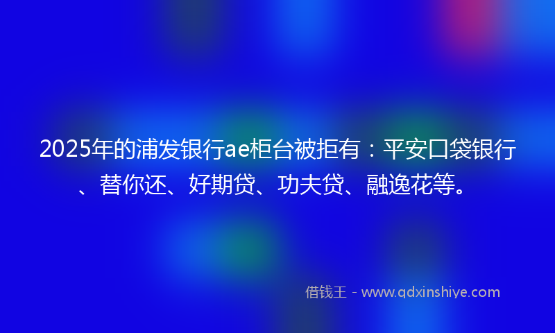 2025年的浦发银行ae柜台被拒有：平安口袋银行、替你还、好期贷、功夫贷、融逸花等。