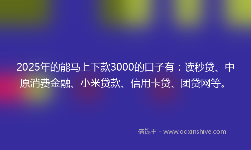 2025年的能马上下款3000的口子有：读秒贷、中原消费金融、小米贷款、信用卡贷、团贷网等。