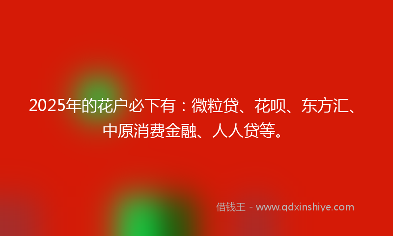 2025年的花户必下有：微粒贷、花呗、东方汇、中原消费金融、人人贷等。