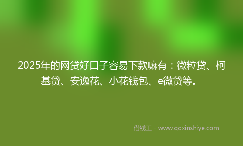 2025年的网贷好口子容易下款嘛有：微粒贷、柯基贷、安逸花、小花钱包、e微贷等。