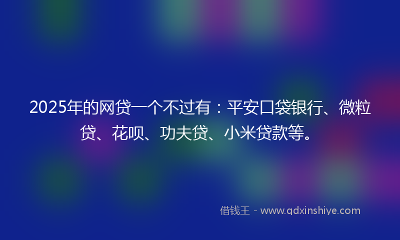 2025年的网贷一个不过有：平安口袋银行、微粒贷、花呗、功夫贷、小米贷款等。