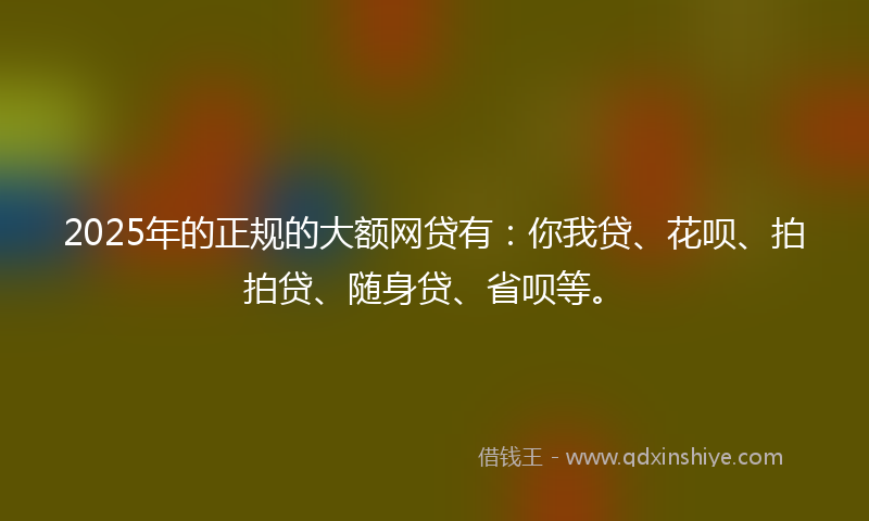 2025年的正规的大额网贷有：你我贷、花呗、拍拍贷、随身贷、省呗等。