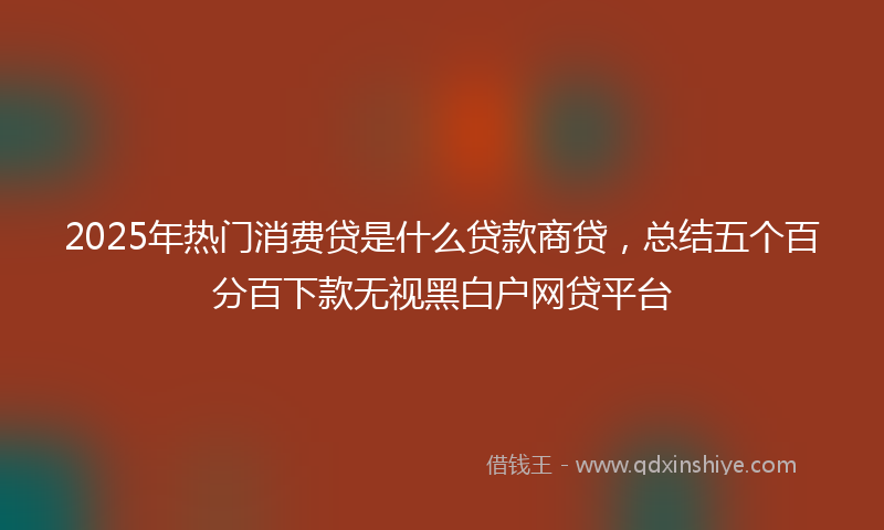 2025年热门消费贷是什么贷款商贷，总结五个百分百下款无视黑白户网贷平台