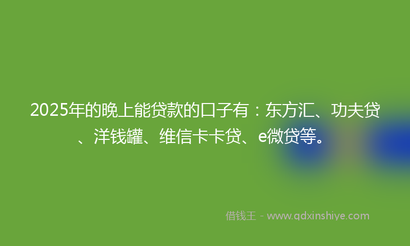 2025年的晚上能贷款的口子有：东方汇、功夫贷、洋钱罐、维信卡卡贷、e微贷等。