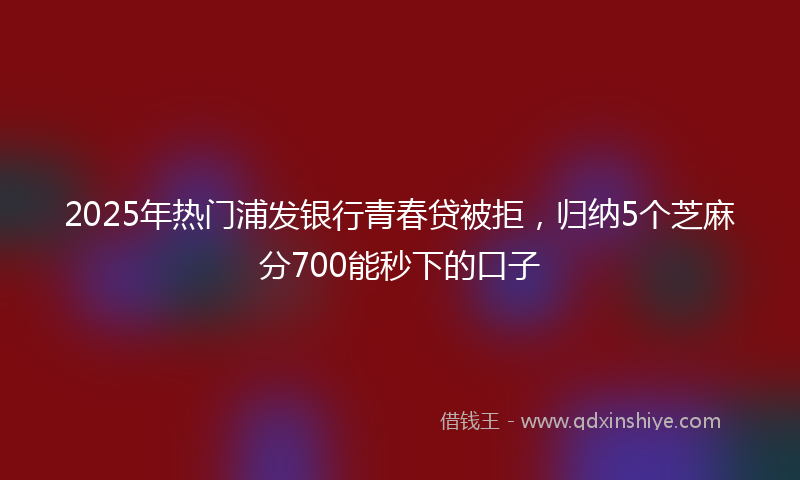 2025年热门浦发银行青春贷被拒，归纳5个芝麻分700能秒下的口子
