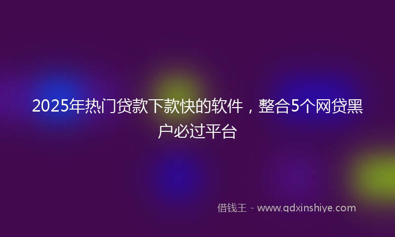 2025年热门贷款下款快的软件，整合5个网贷黑户必过平台