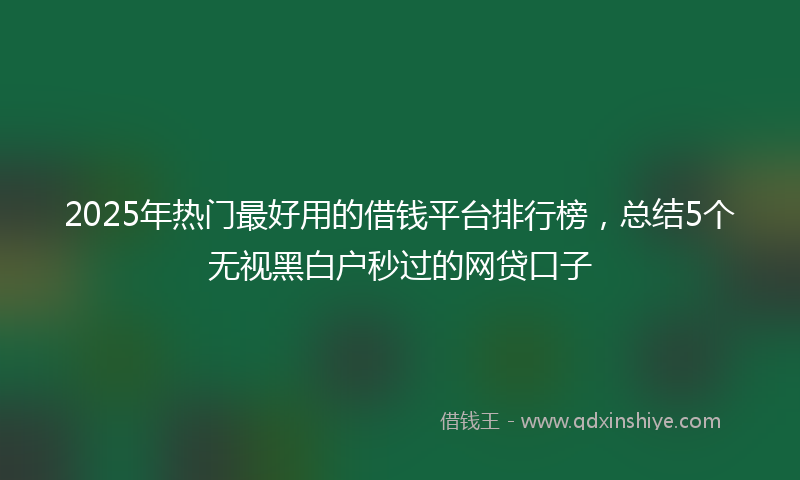 2025年热门最好用的借钱平台排行榜，总结5个无视黑白户秒过的网贷口子